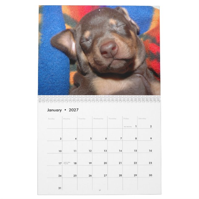 Calendrier blanc de dobermann (Jan 2027)