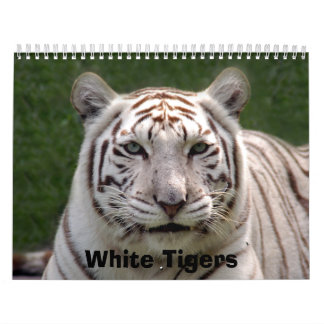 Calendrier blanc de tigres, tigres blancs