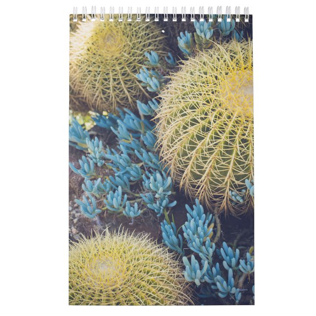 Calendrier Boho Cactus Garden (Protection)