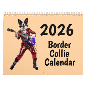 Calendrier Border Collie