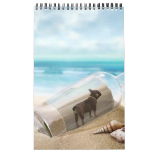 Calendrier bouledogue français superbe collection 