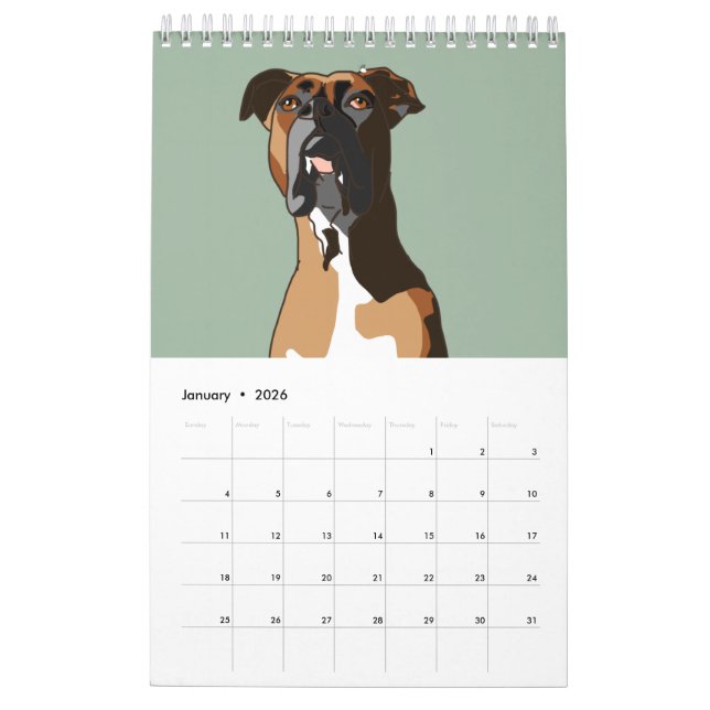 Calendrier Boxer (Jan 2026)
