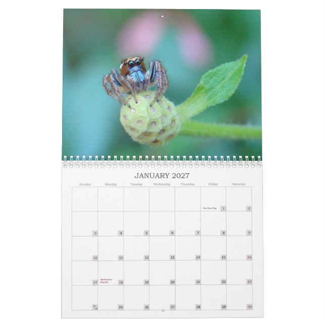 Calendrier Branchez-moi sur table d'écoute ! (Jan 2027)