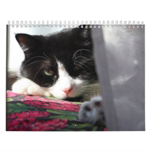 Calendrier Brave Sir Bébé