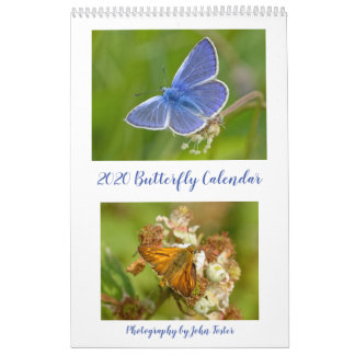Calendrier British Butterflies 2020