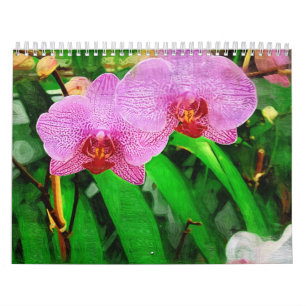 Calendrier bromeliad et orchidées tropicaux, Fairchild g