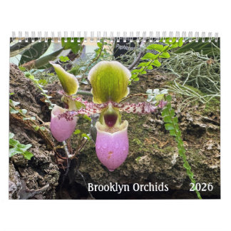 Calendrier Brooklyn Orchids 2026