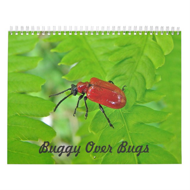 Calendrier - Buggy Over Buggy (Protection)