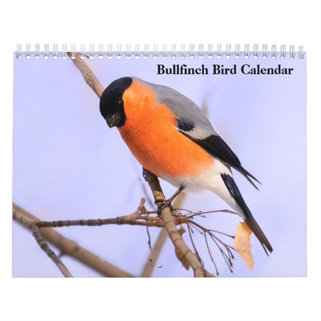 Calendrier Bullfinch Bird (Protection)