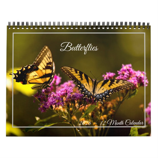 Calendrier Butterflies 12 Month Calendar (Protection)