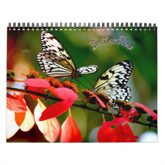 Calendrier Butterfly Calendar