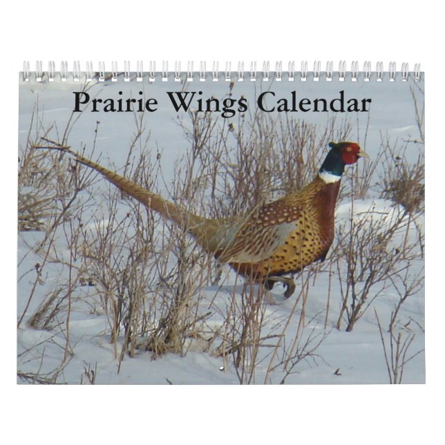 Calendrier C8 Prairie Wings (Protection)