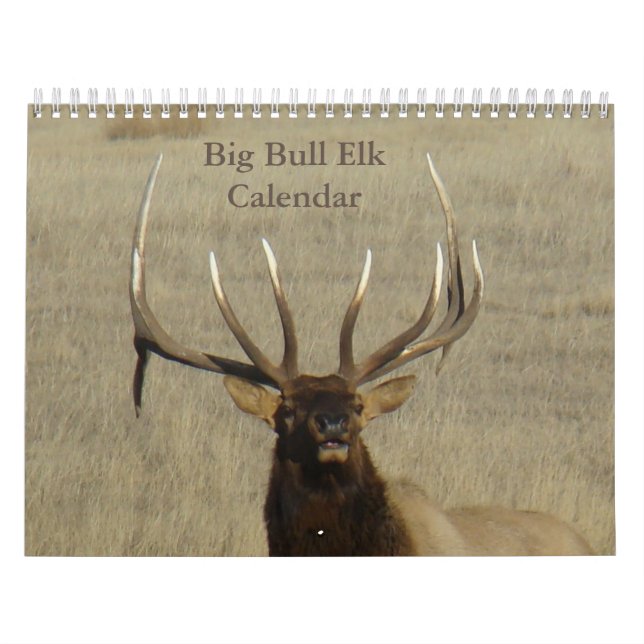 Calendrier C9 Big Bull Elk (Protection)