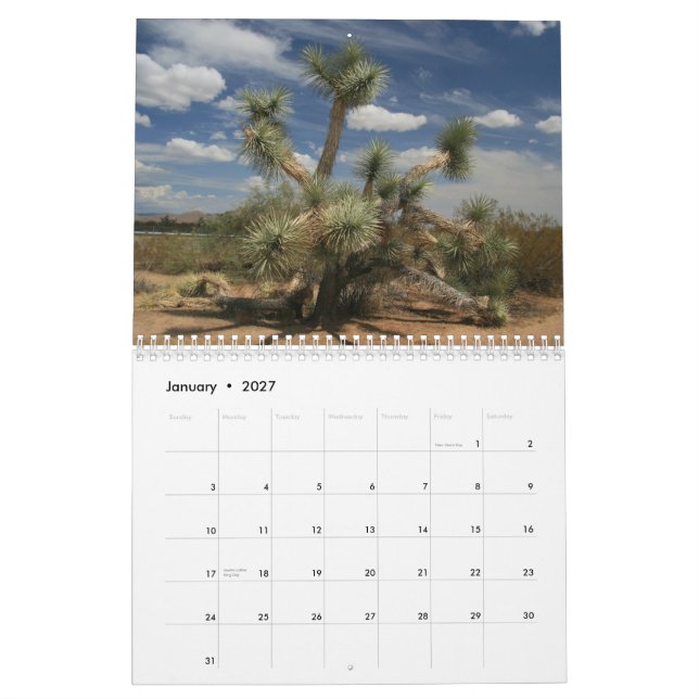 Calendrier Cactus 2013 (Jan 2027)