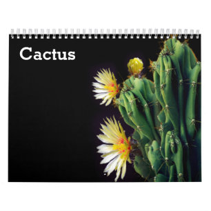 Calendrier Cactus 2025