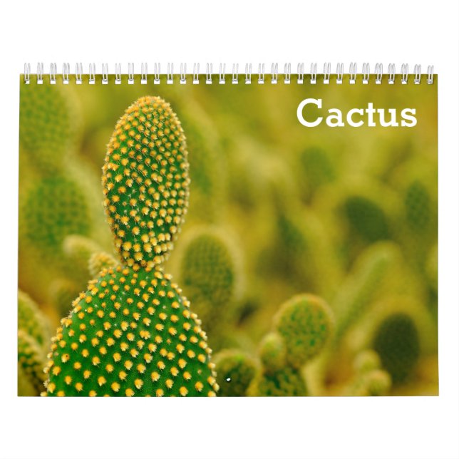 Calendrier Cactus 2025 (Protection)