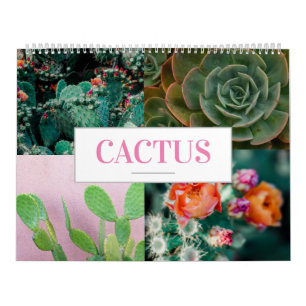 Calendrier Cactus Calendrier Nature Calendrier Acc
