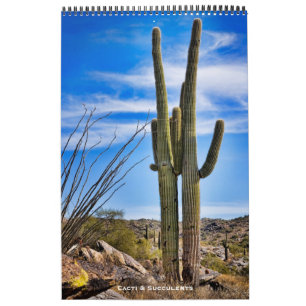 Calendrier Cactus et succulents