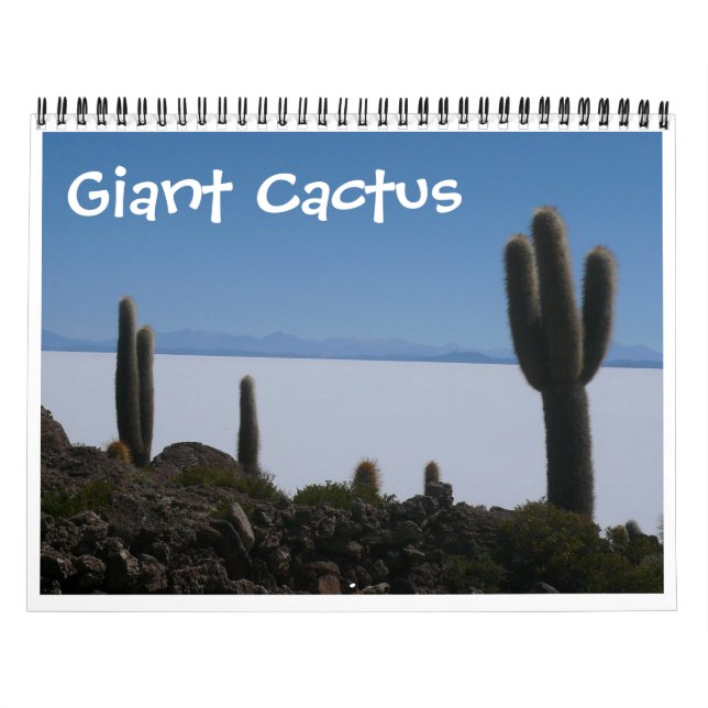 Calendrier cactus géant 2026 (Protection)