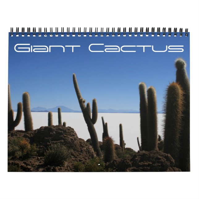 Calendrier cactus géant 2026 (Protection)
