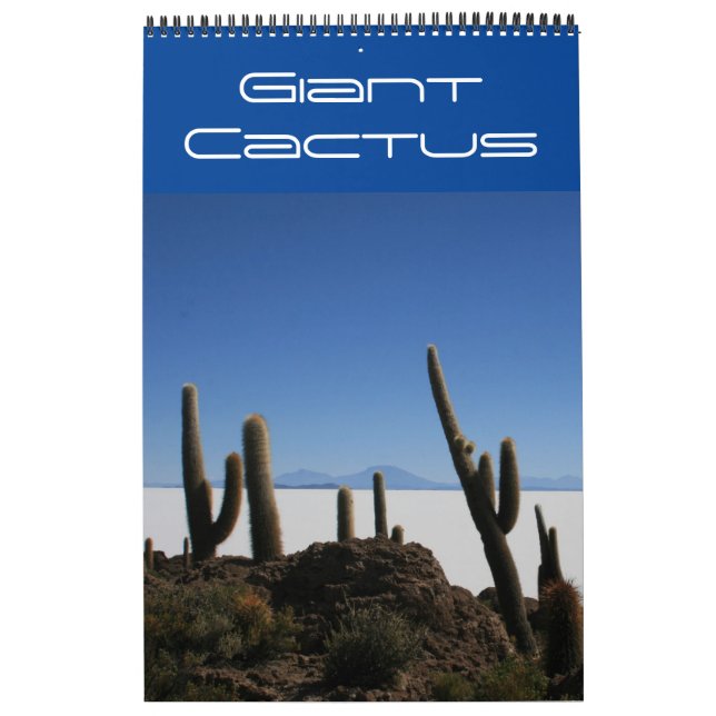 Calendrier cactus géant bolivie (Protection)
