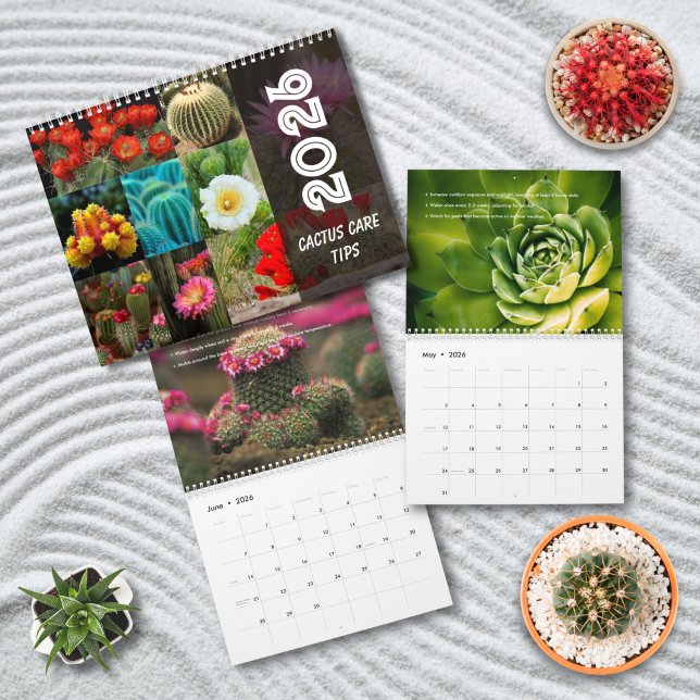Calendrier Cactus  Monthly Desert Plant Inspiration (Créateur téléchargé)