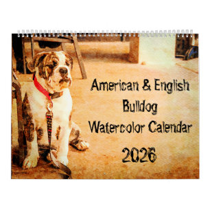 Calendrier Cadeau Bouledogue Anglais Américain Bully britanni
