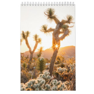 Calendrier Cadeau photo du désert avec Cactus
