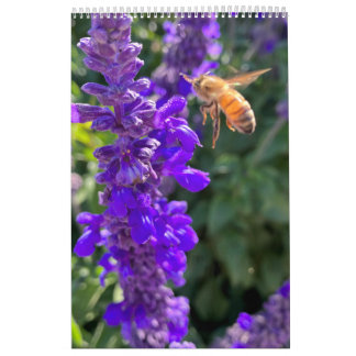 Calendrier Calendar Pollinators: Bees and Butterflies