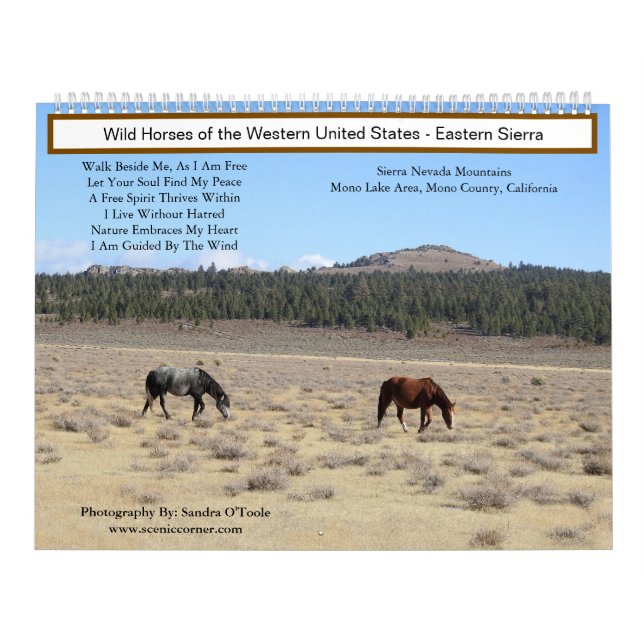 Calendrier Calendar, Wild Horses, Eastern Sierra, California (Protection)