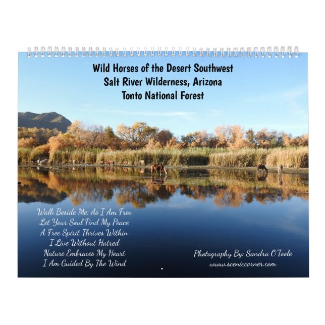 Calendrier Calendar, wild horses, salt river, Arizona (Protection)