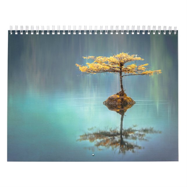 CALENDRIER CALENDRIER: ARBRE SUR UNE ÎLE (Protection)
