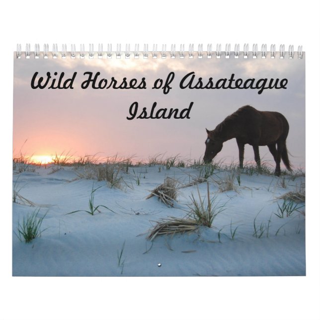 Calendrier Calendrier, Chevaux sauvages de l'île Assateague (Protection)