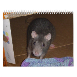 Calendrier Calendrier: Rat & Mouse Love