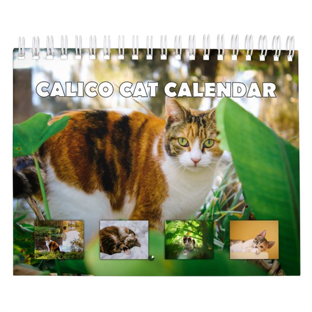 Calendrier Calico Cat (Protection)