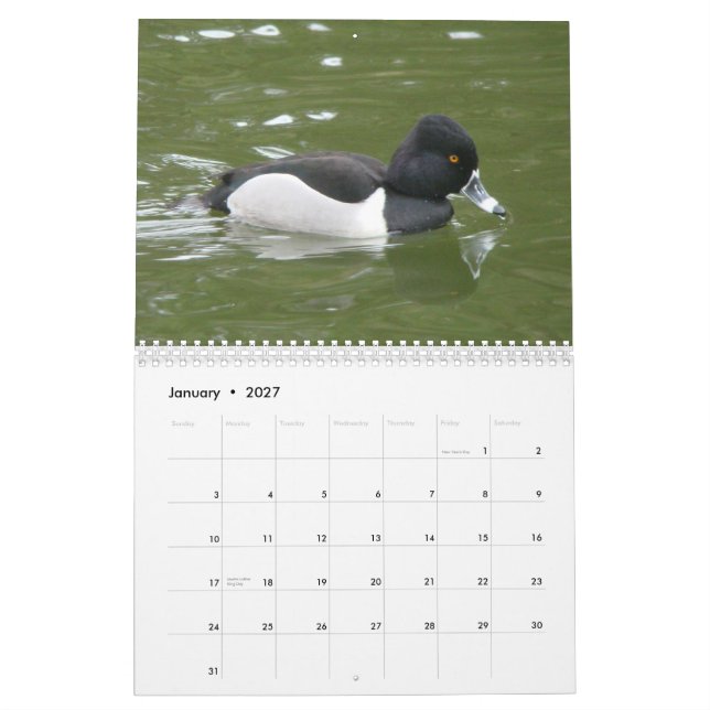 Calendrier Canards de l'Amérique du Nord, 2011 (Jan 2027)