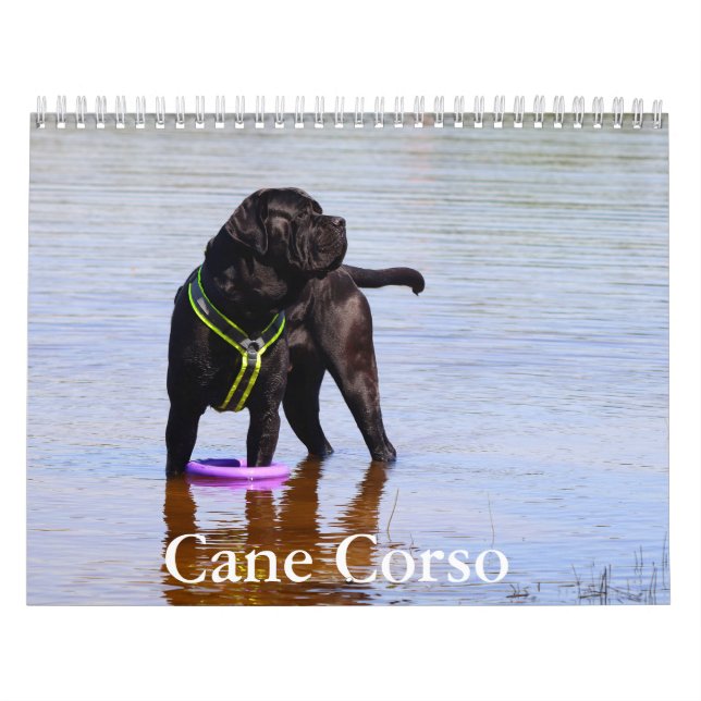 Calendrier Cane Corso Dog (Protection)