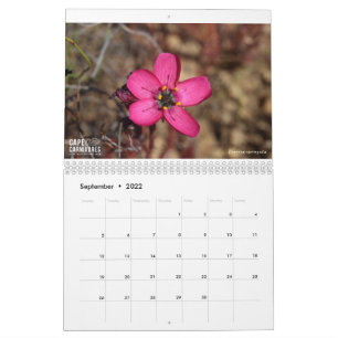 Calendrier Cape Carnivores 2022