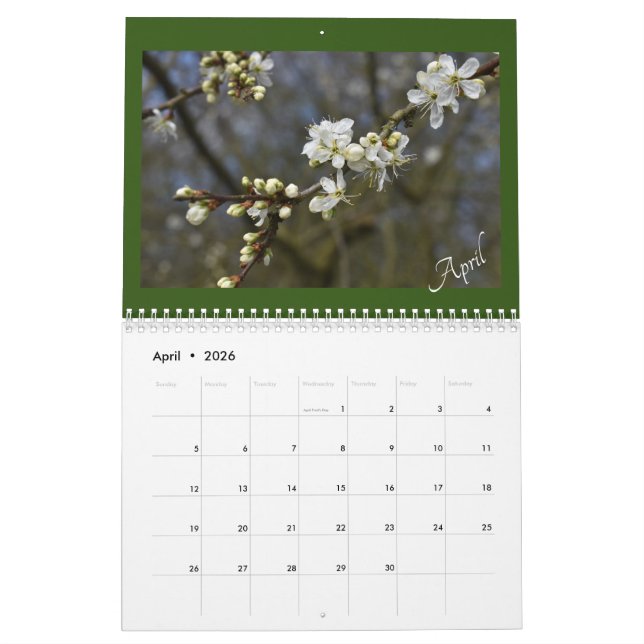 Calendrier Capturer la calandre beauté de la nature (Apr 2026)