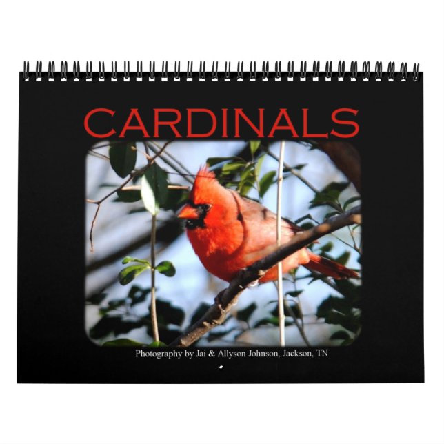 Calendrier cardinal (Protection)