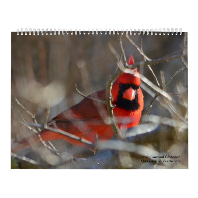 Calendrier cardinal 2020 (Protection)