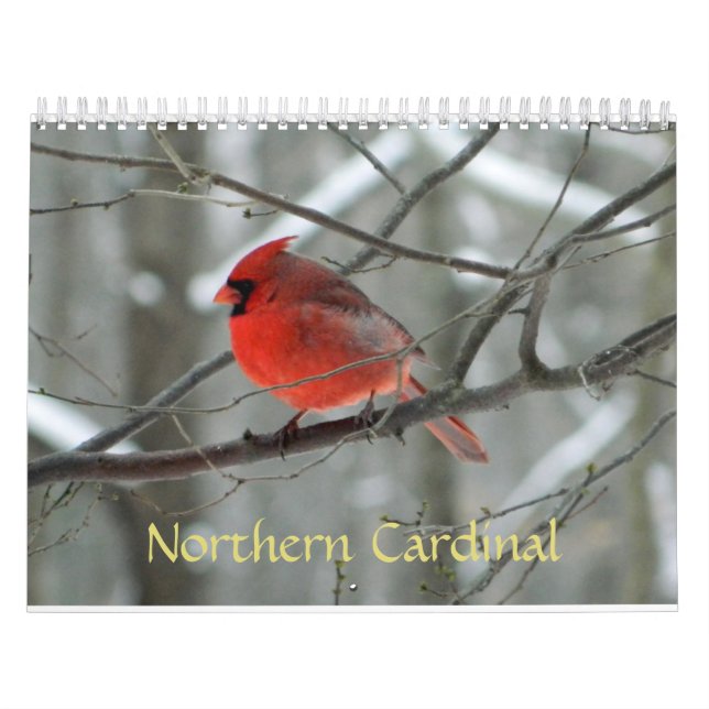 Calendrier cardinal du nord (Protection)