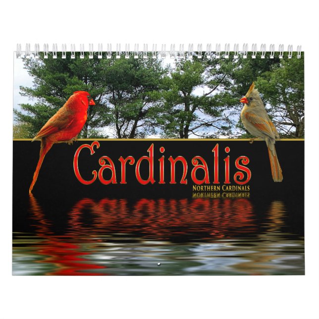 Calendrier Cardinaux Rouges du Nord Cardinalis Belles photos (Protection)