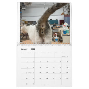 Calendrier Cat Butt 2022