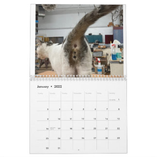 Calendrier Cat Butt 2022