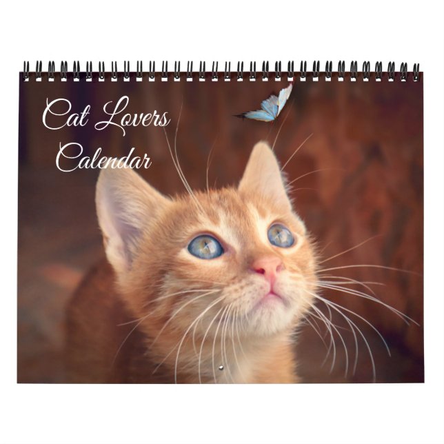 Calendrier Cat Lovers Calendar (Protection)
