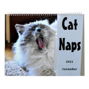 Calendrier Cat Naps 2021