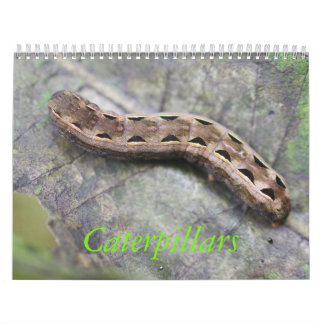 Calendrier Caterpillar classent