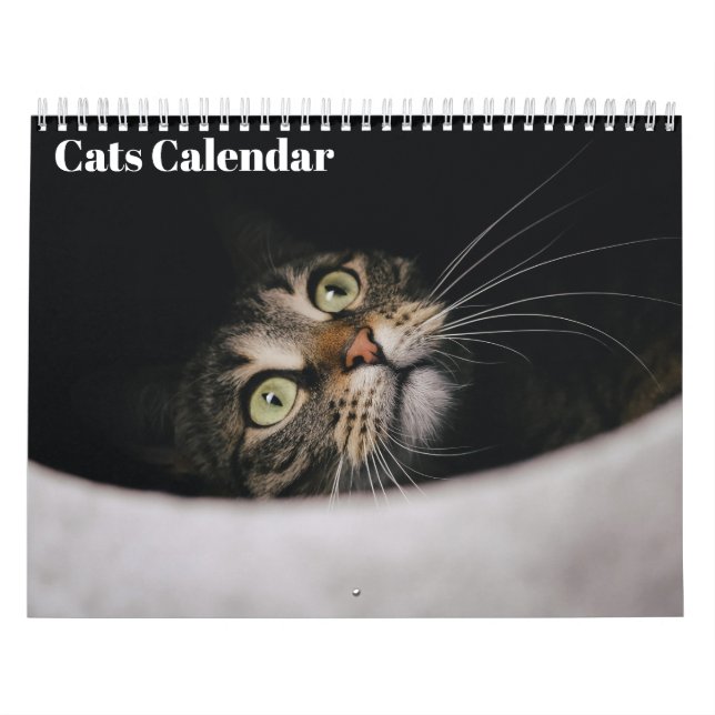 Calendrier Cats 2026 Calendar (Protection)