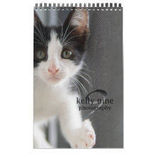 Cats & Kittens par Kelly Nine Photographie